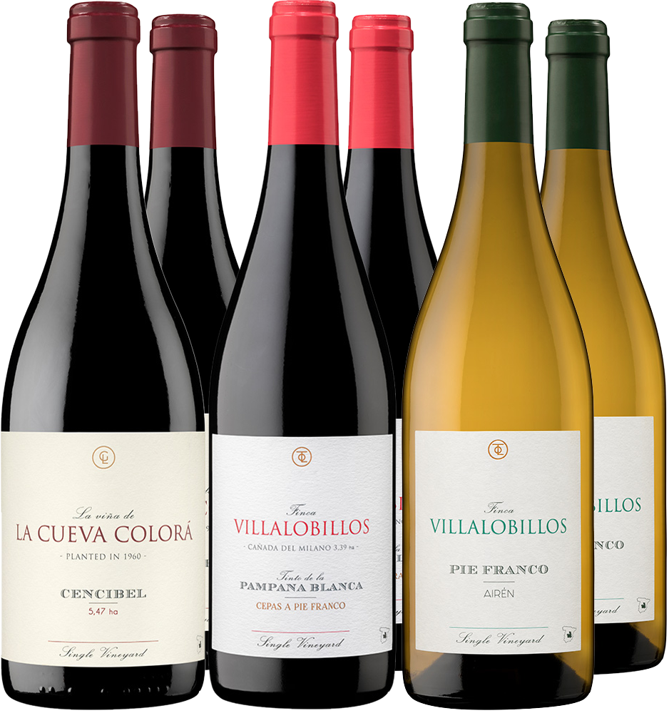 Pack degustación Garcia de Lara Castilla VT