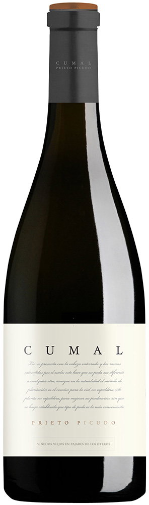 2018 Cumal Castilla y León VT reflection