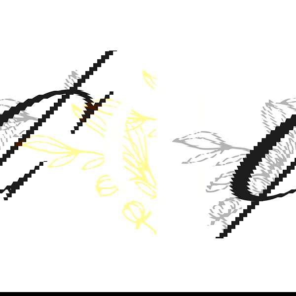 Grupo Palacio de Villachica