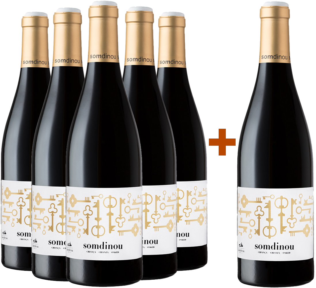 Pack descuento 5+1 Somdinou Tinto Crianza Terra Alta DO BIO
