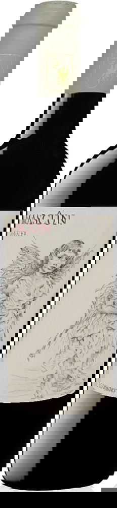 2022 Mascún Garnacha Tinto Somontano DO