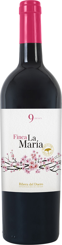 2023 Finca La Maria 9 meses Ribera del Duero DO
