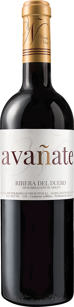 2022 Avañate Ribera del Duero DO
