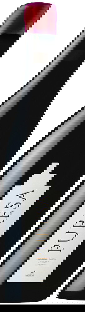 2015 Puresa Cariñena Terrra Alta DO BIO