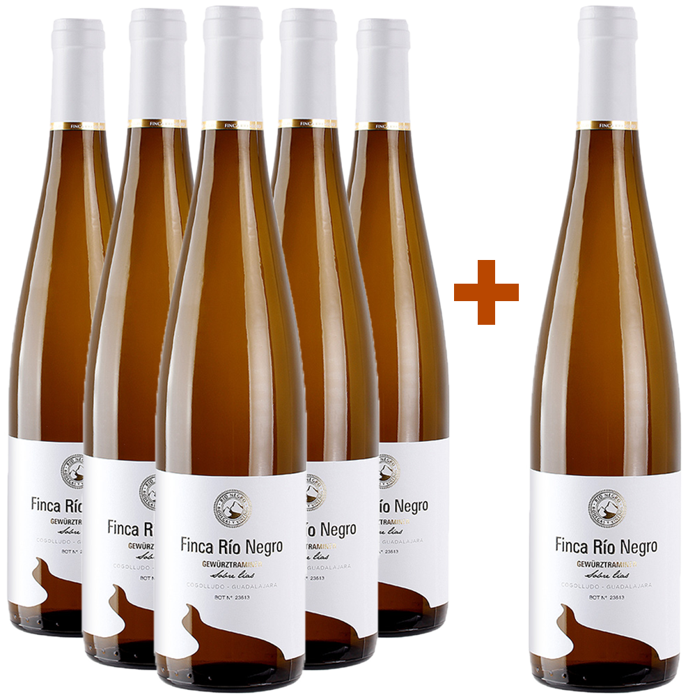 Pack Descuento 5+1 Gewürztraminer Castilla VT BIO