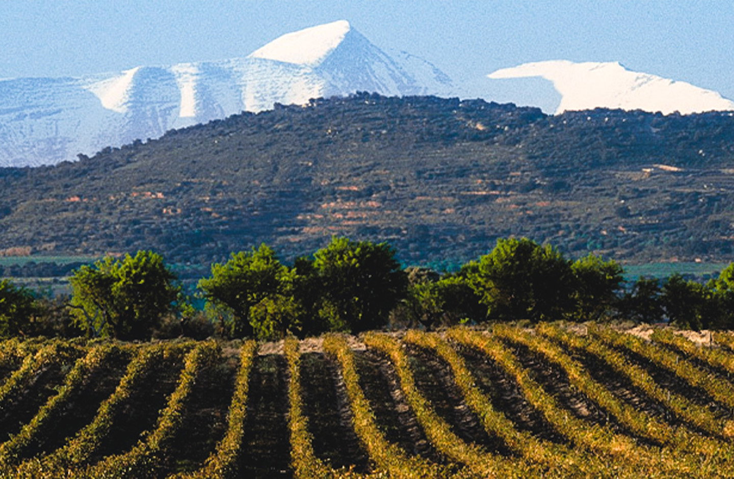Altos de Antillón