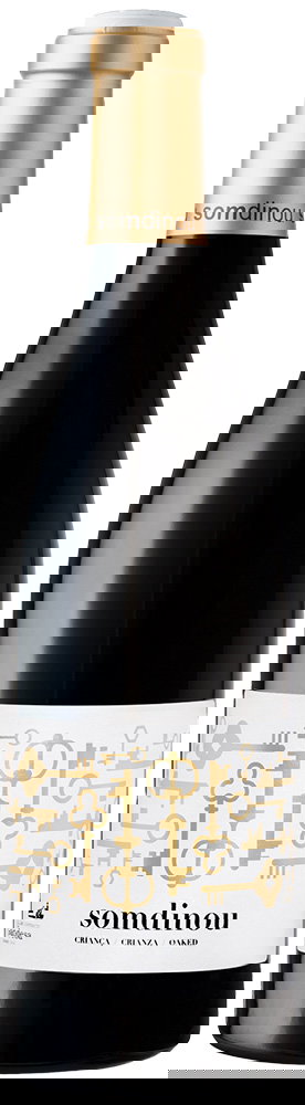 2020 Somdinou Tinto Crianza Terra Alta DO BIO