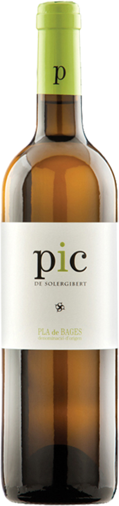 2024 Solergilbert PIC Pla de Bages DO reflection