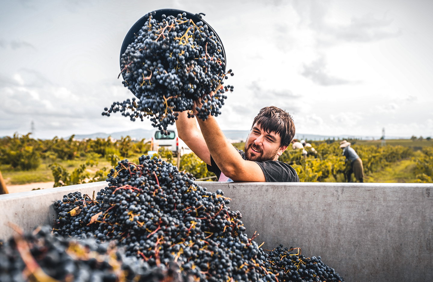 ¡Pack Descuento 5+1 DO Empordà!