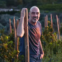 Costers del Priorat