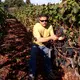 Alejandro Gallo & Quiquere Wines