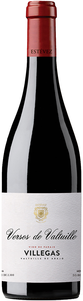 2022 Versos de Valtuille Paraje Villegas Bierzo DO reflection