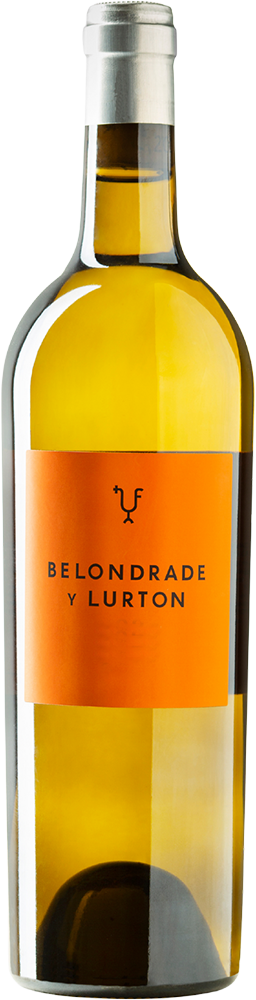 2024 Belondrade y Lurton Rueda DO reflection