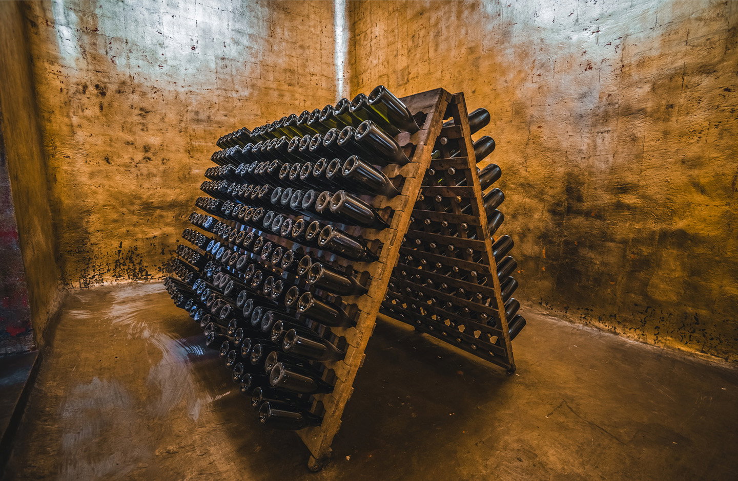 ¡Descubre los mejores Cavas en TRAVINO!