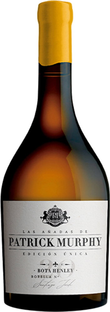 2020 Bota Henley Cádiz VT