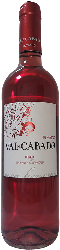 2023 Valdecabado Rosado DO Cigales
