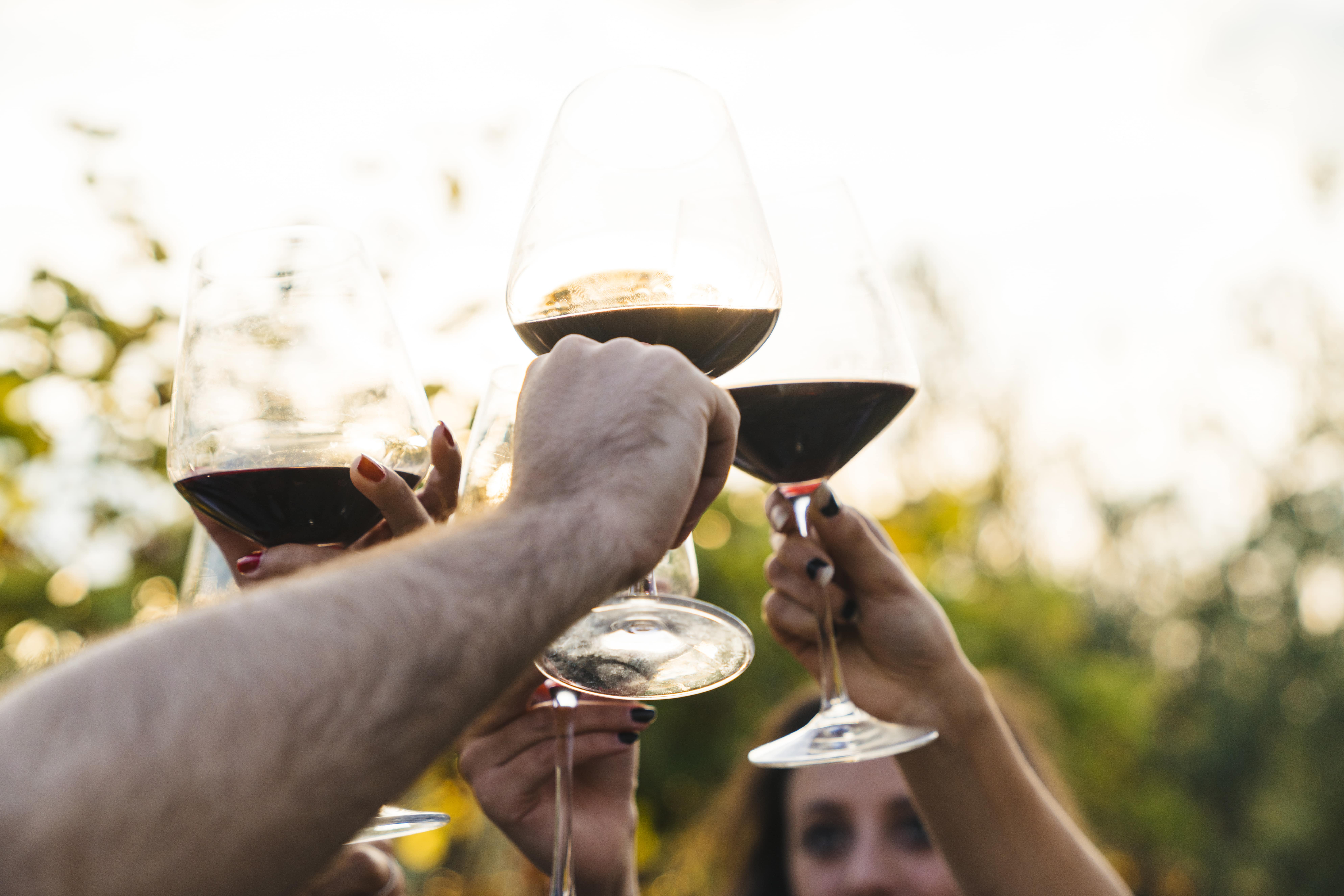 ¡Descubre los mejores Syrah en TRAVINO!