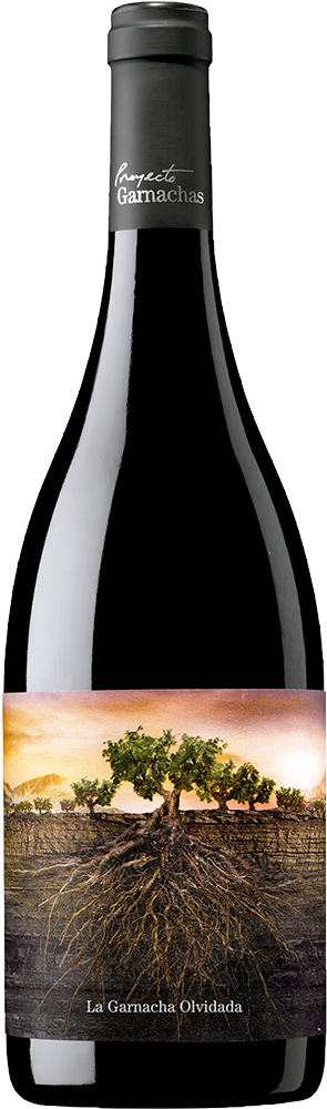 2022 La Garnacha Olvidada de Aragón Calatayud DO