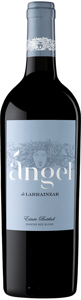 2020 Ángel de Larraínzar Navarra DO