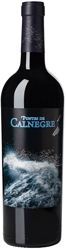 2022 Puntes de Calnegre Montsant DO