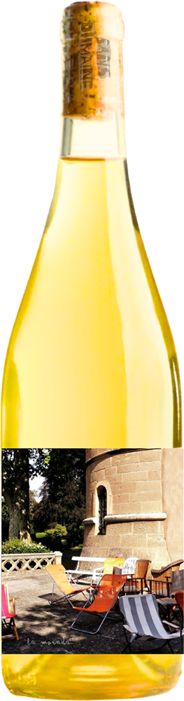 2022 Sans Domaine La Morada reflection
