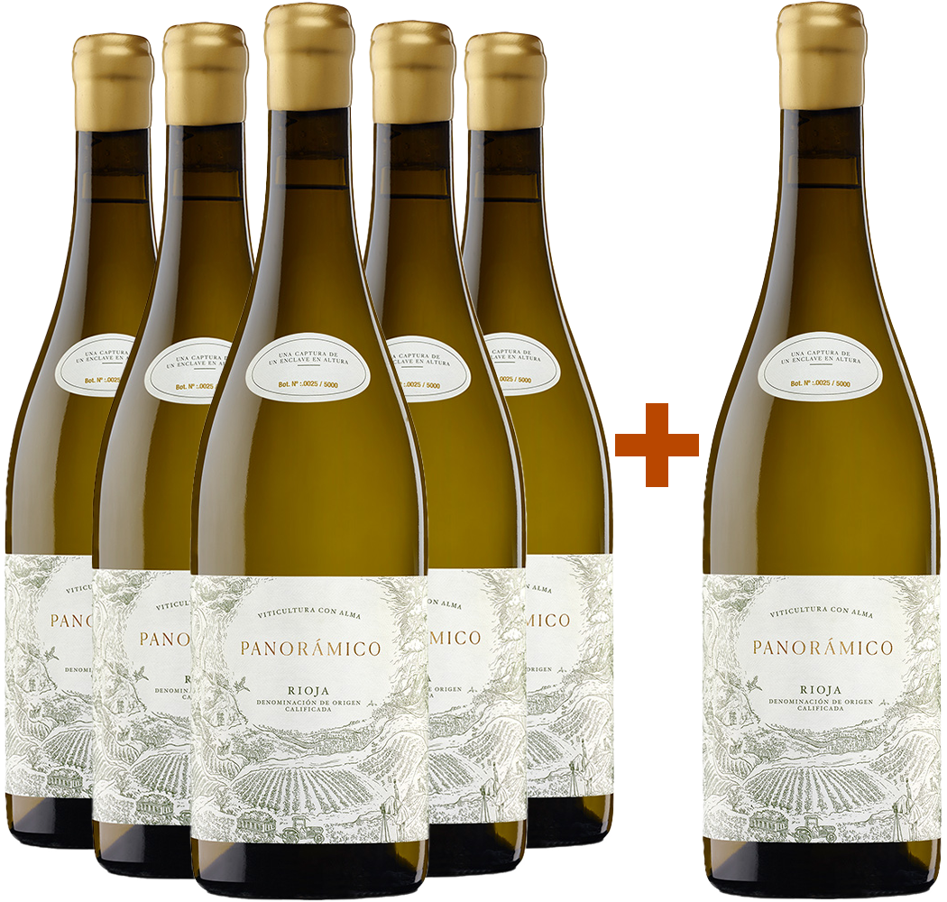 Pack descuento 5+1 Panorámico Blanco Rioja DOCa