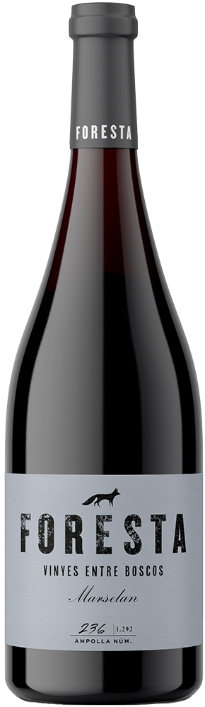 2021 Foresta Marselan BIO