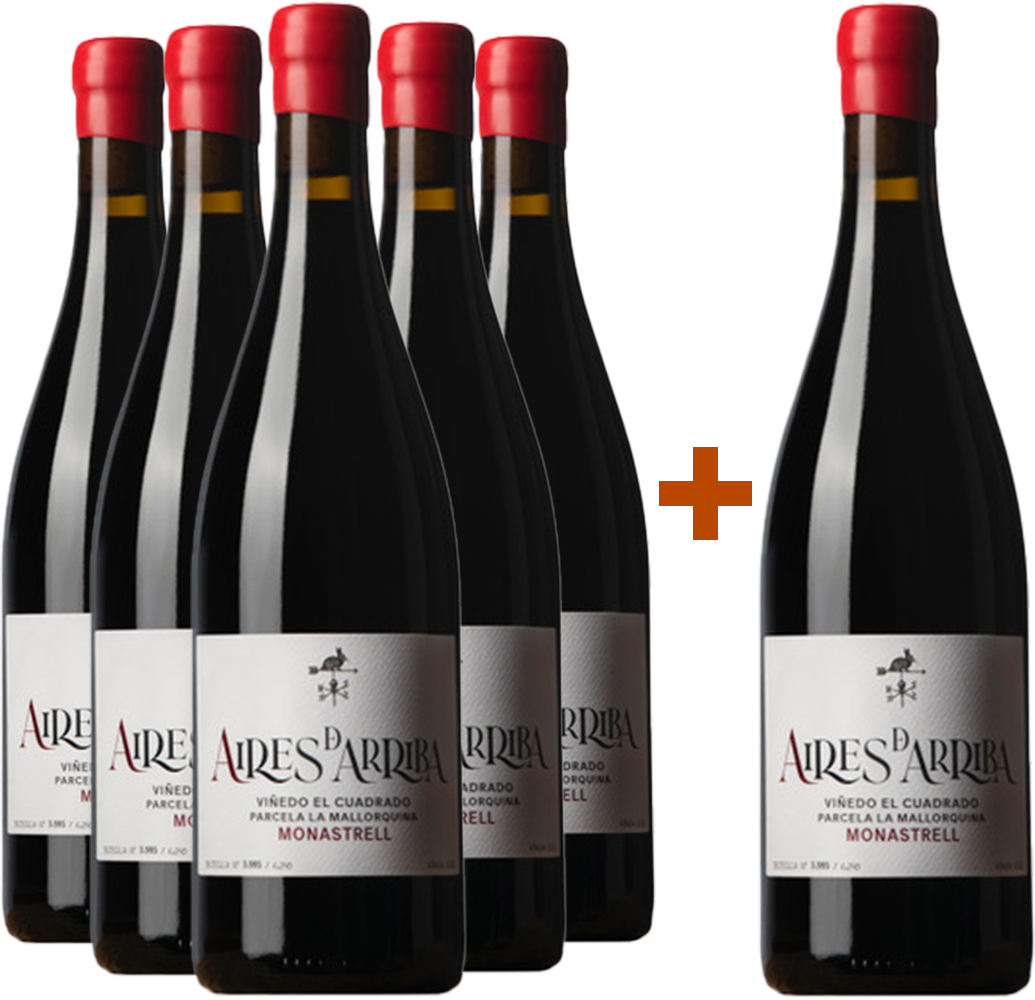 Pack descuento 5+1 Aires de Arriba Monastrell Jumilla DO