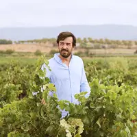 Vinos Ferrín y Cordero