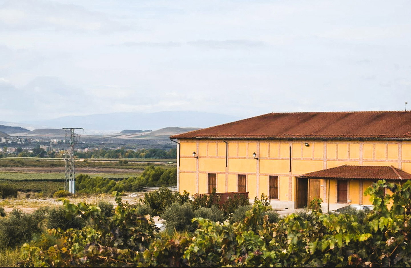 Viñedos y Bodegas Lyng