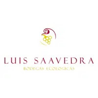 Luis Saavedra