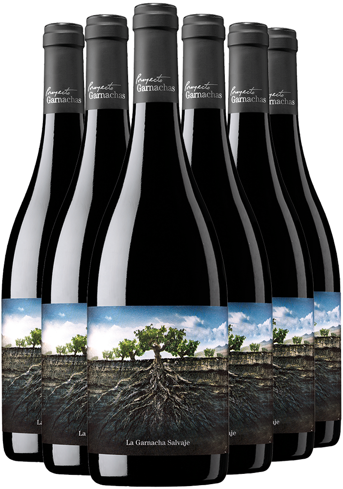 Pack Descuento Garnacha Salvaje del Moncayo