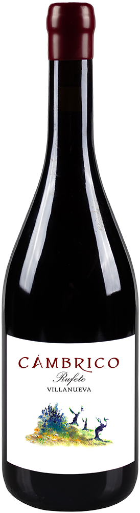 2021 Cámbrico Villanueva Sierra de Salamanca DOP