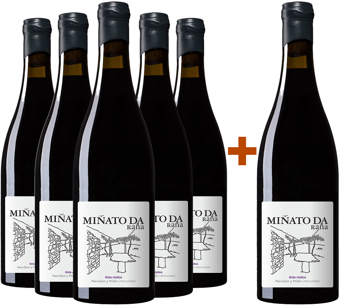 Pack Descuento 5+1 Nanclares Miñato da Raña