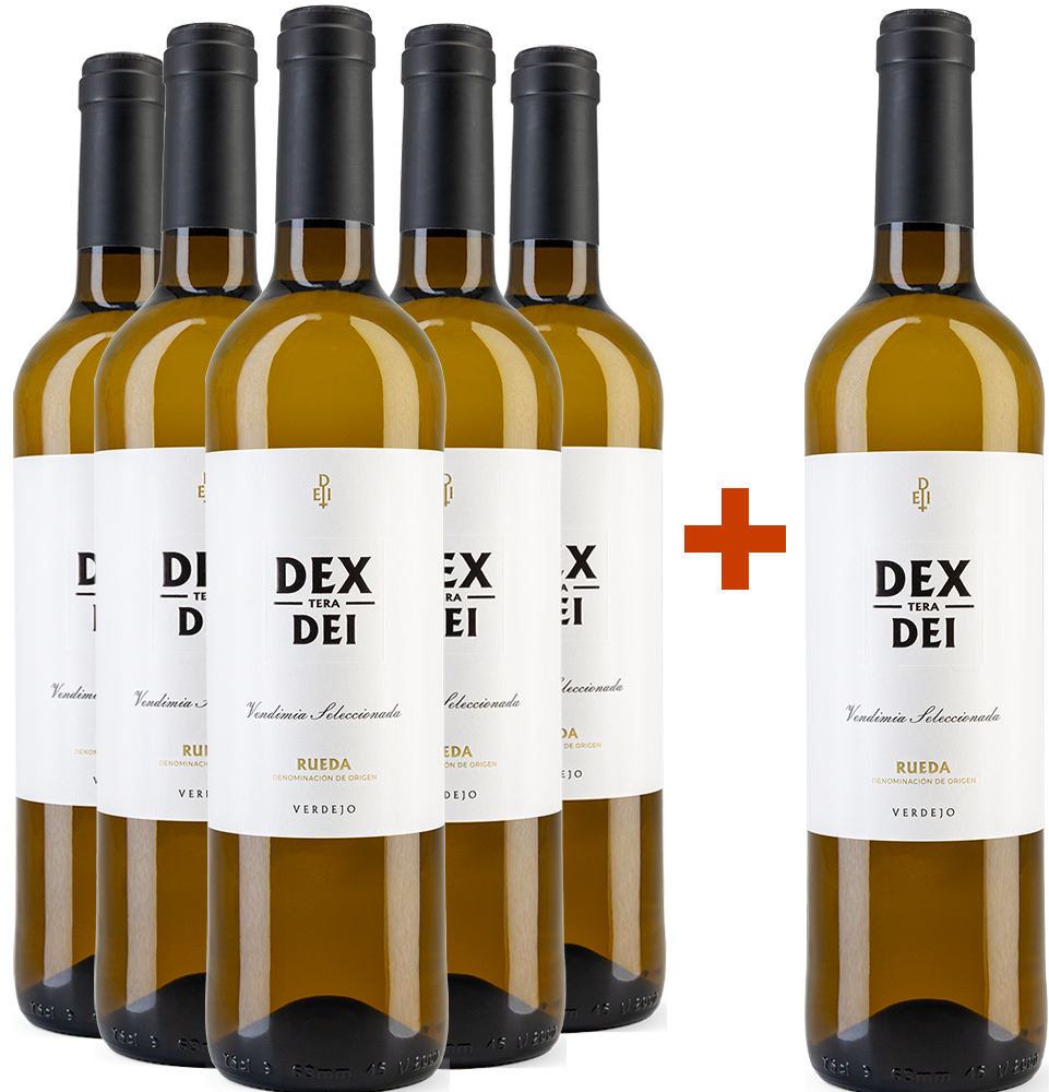 Pack Descuento 5 + 1