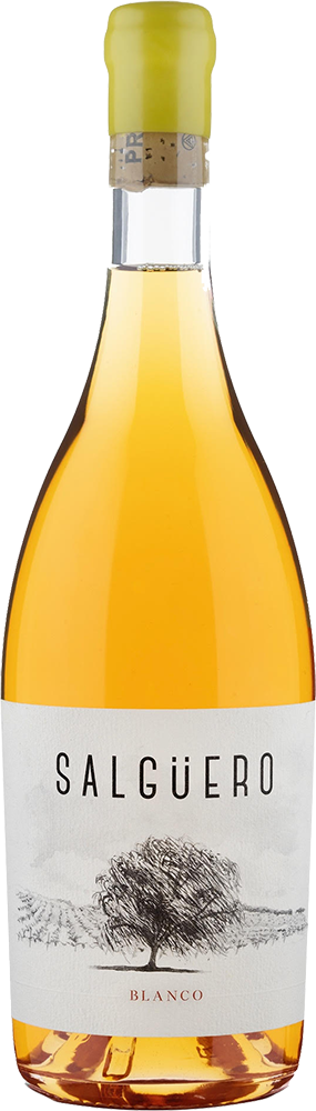 2021 Pradorey Salgüero Blanco