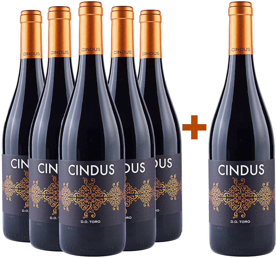 Pack descuento 5+1 Cindus Toro DO