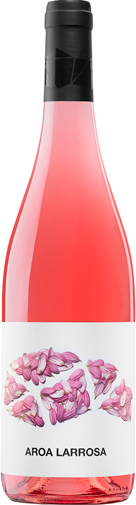 2024 Aroa Larrosa Navarra DO