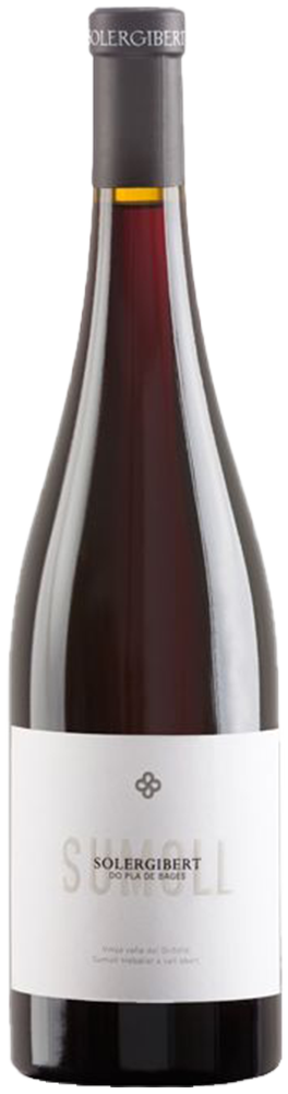 2022 Solergilbert Sumoll Pla de Bages DO reflection