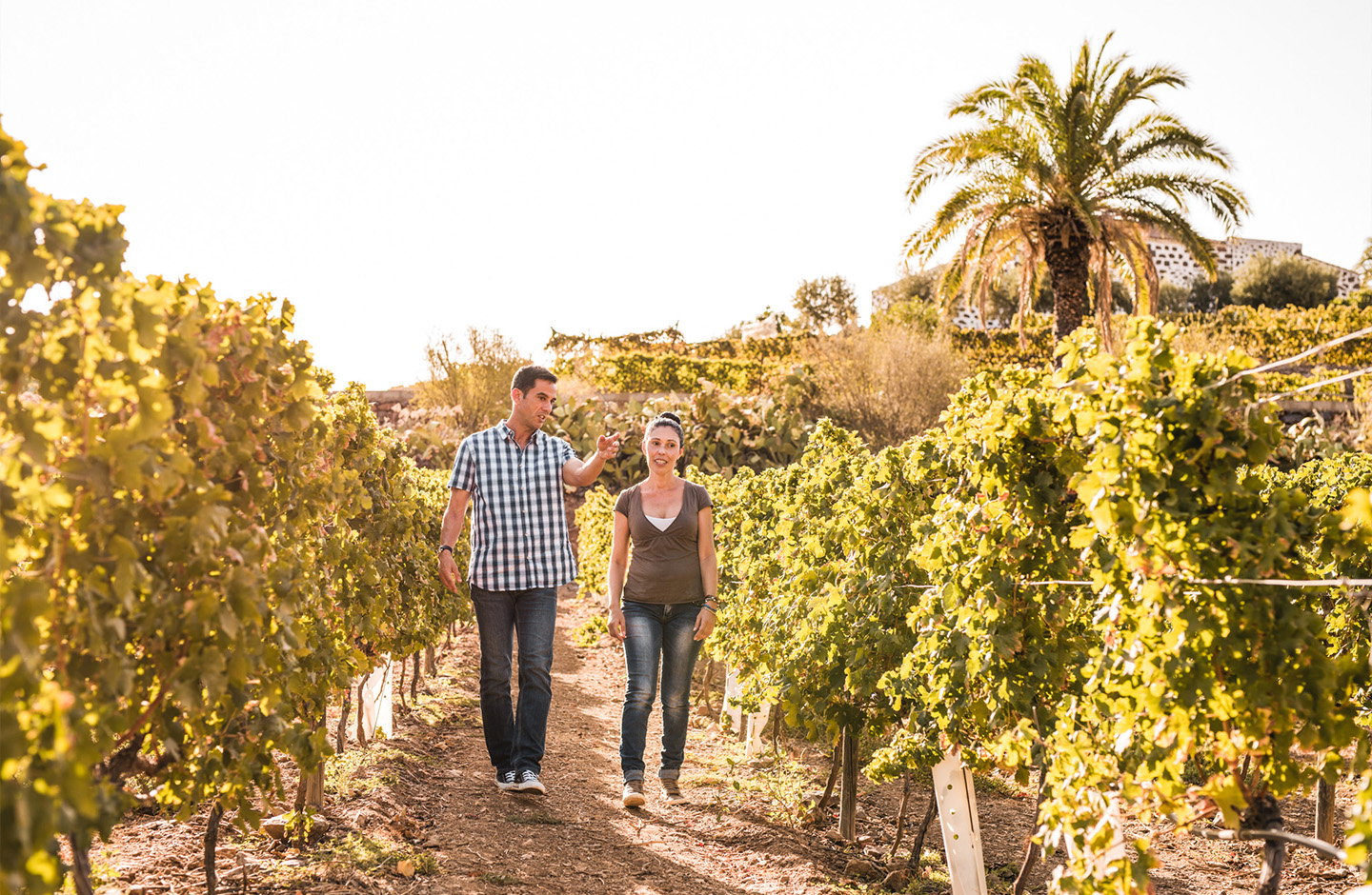 ¡El amor por el vino se celebra todos los días!