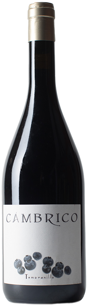 2012 Cámbrico Tempranillo Sierra de Salamanca DOP