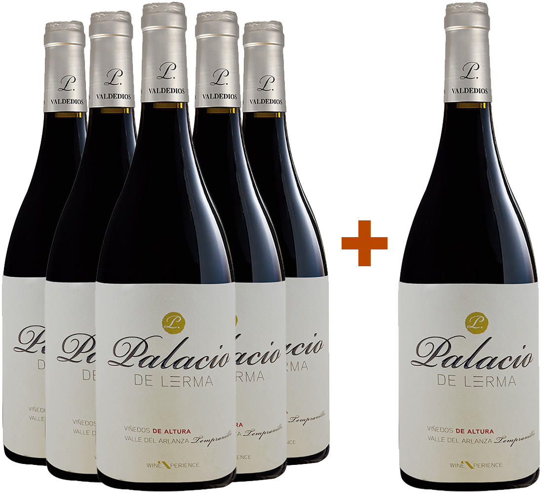 Pack descuento 5+1 Palacio de Lerma Crianza Arlanza DO