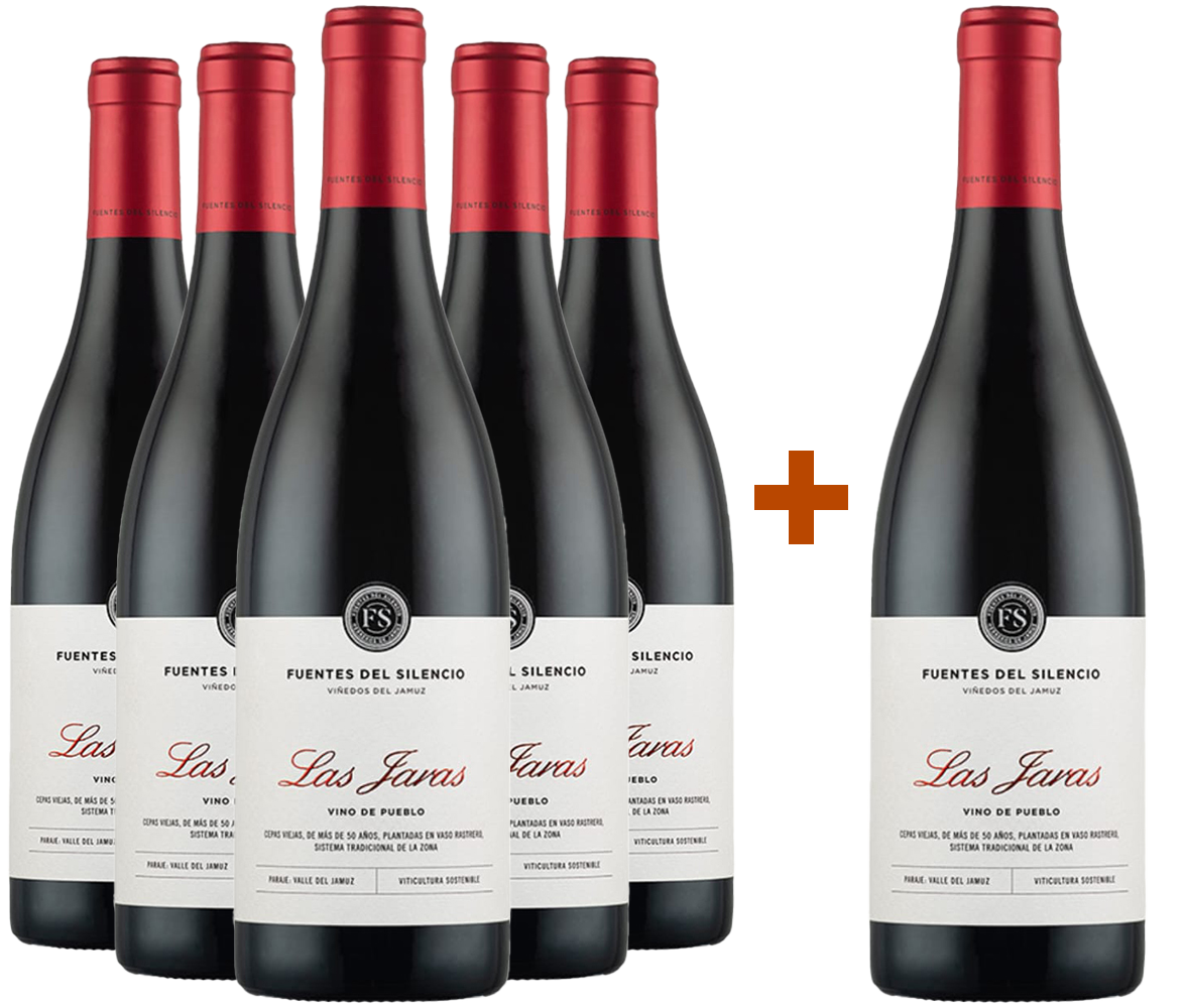 Pack Descuento 5+1 Fuentes del Silencio Las Jaras Castilla y León VT
