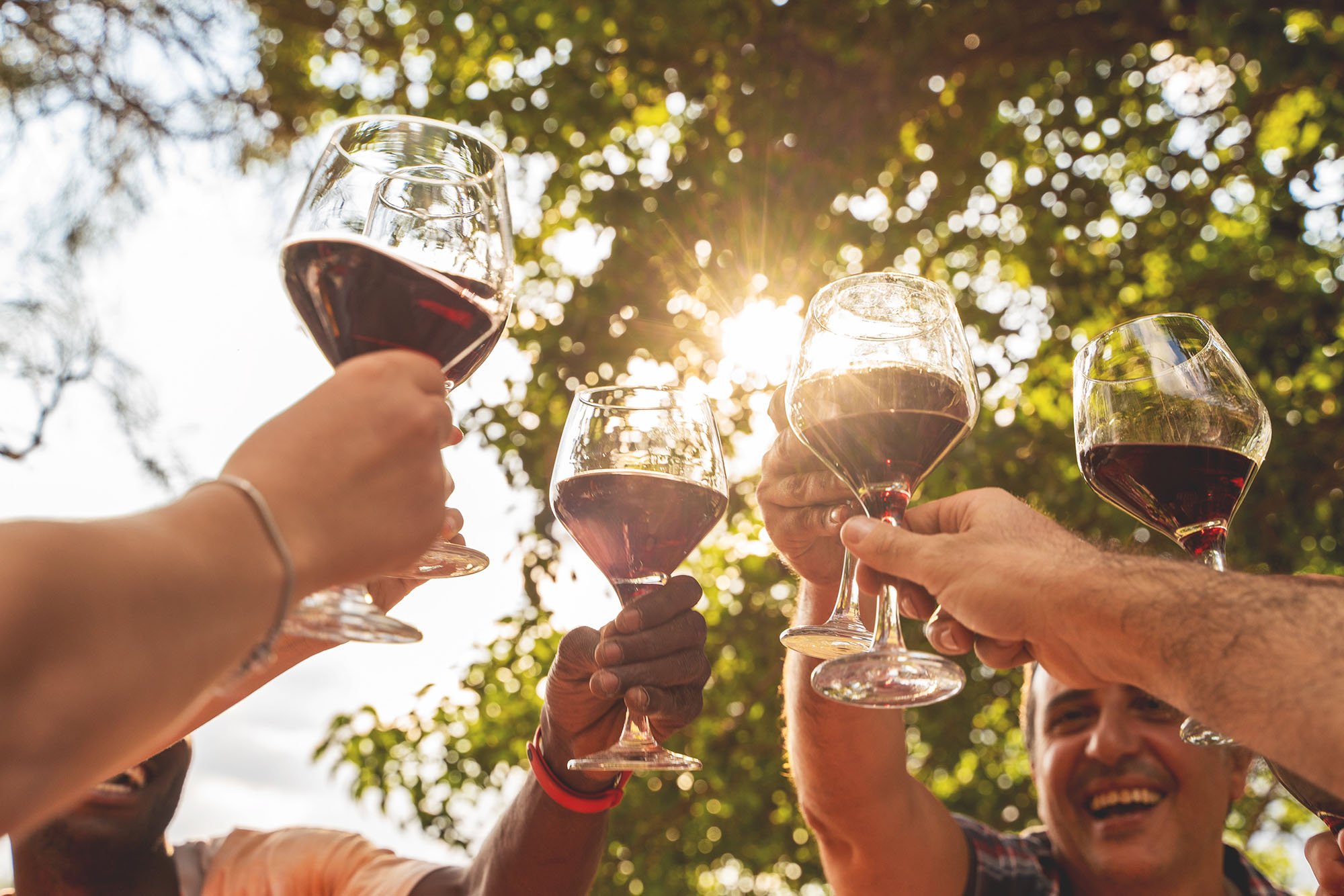 Botellas de vino magnum