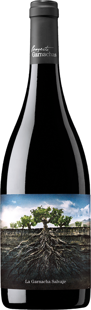 2022 La Garnacha Salvaje del Moncayo Ribera del Queiles VT